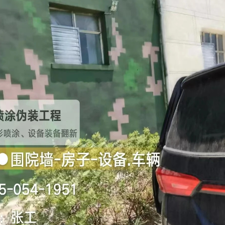 焦作数码迷彩漆施工